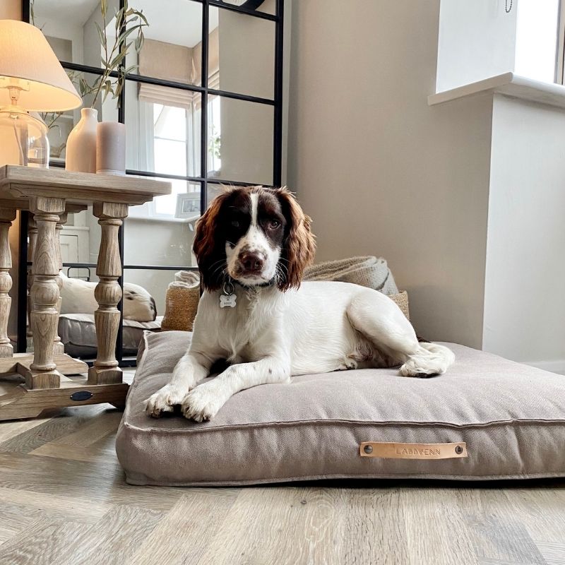 TÖVE - Coussin pour grand chien