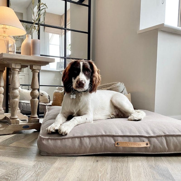 TÖVE - Coussin pour grand chien