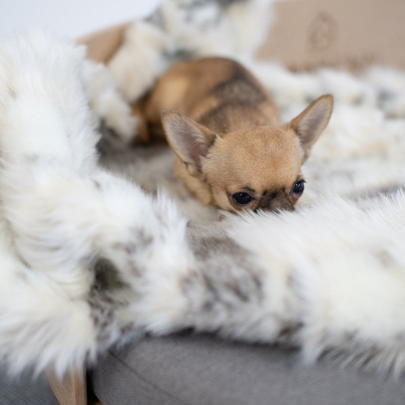 TÖSSE - Couverture chaude pour chien