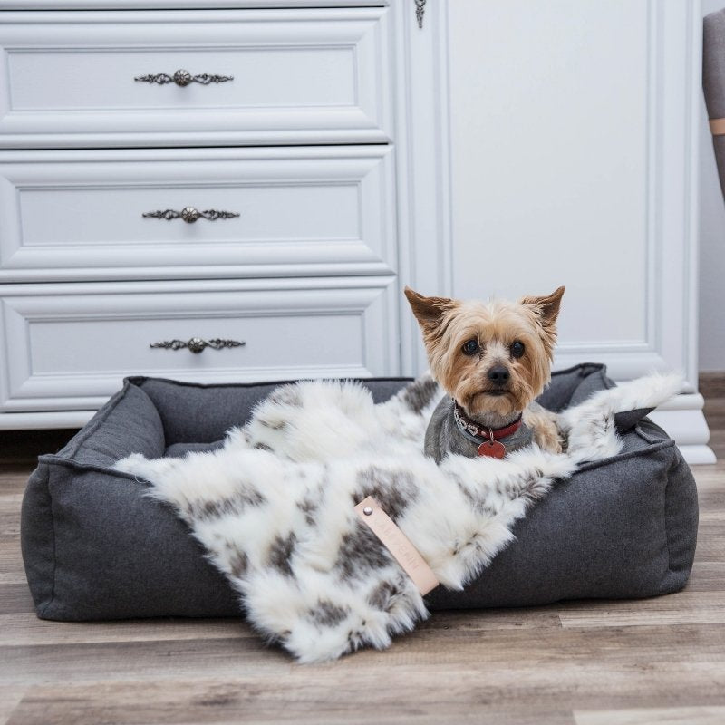 TÖSSE - Couverture chaude pour chien