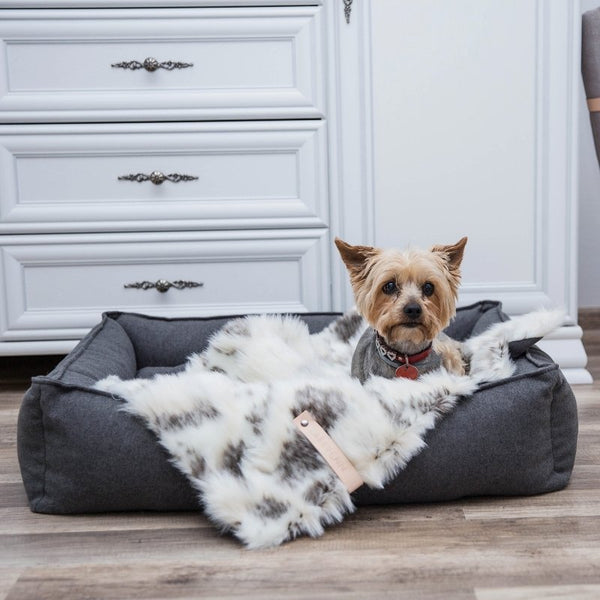 TÖSSE - Couverture chaude pour chien