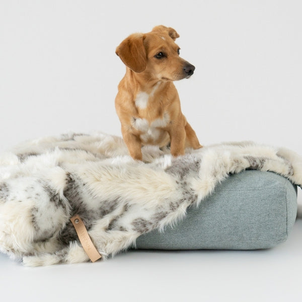 TÖSSE - Warm Dog Blanket