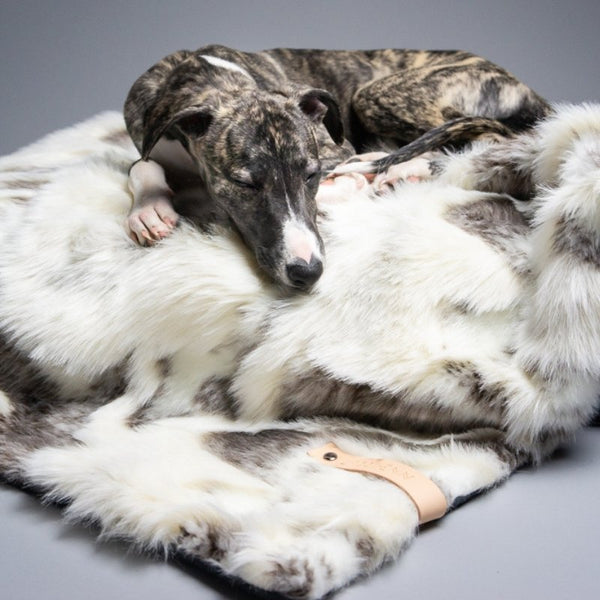 TÖSSE - Couverture chaude pour chien