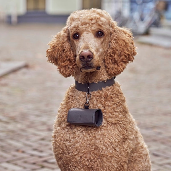 VICHY - Distributeur de sacs à déjection pour chien anthracite
