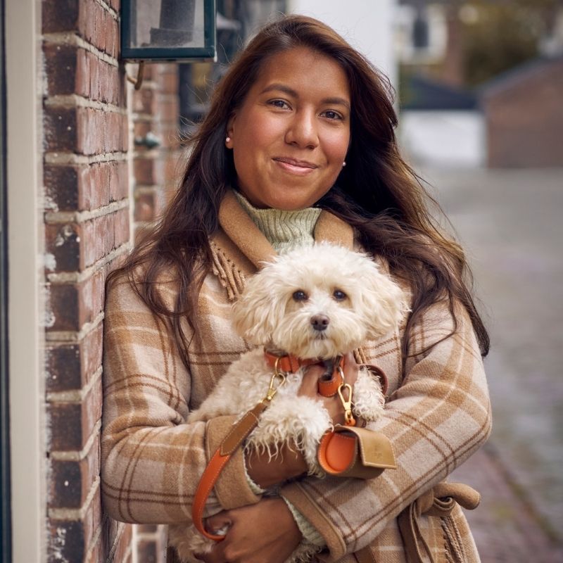 VICHY - Distributeur de sacs à déjection pour chien