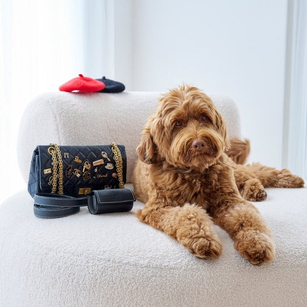VICHY - Distributeur de sacs à déjection pour chien