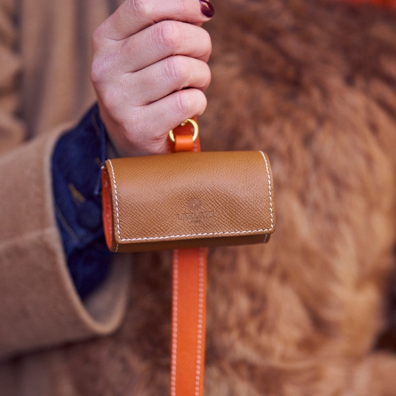 Distributeur de Sacs à Déjection pour Chien Marron Design