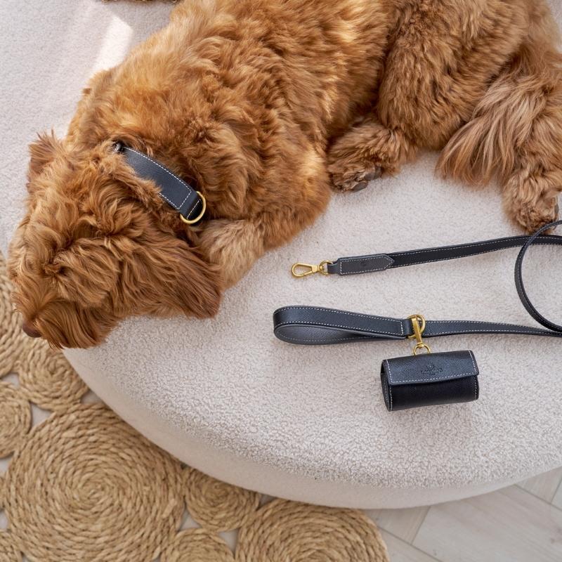 Distributeur de Sacs à Déjection pour Chien Noir Laisse