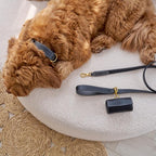 Distributeur de Sacs à Déjection pour Chien Noir Laisse