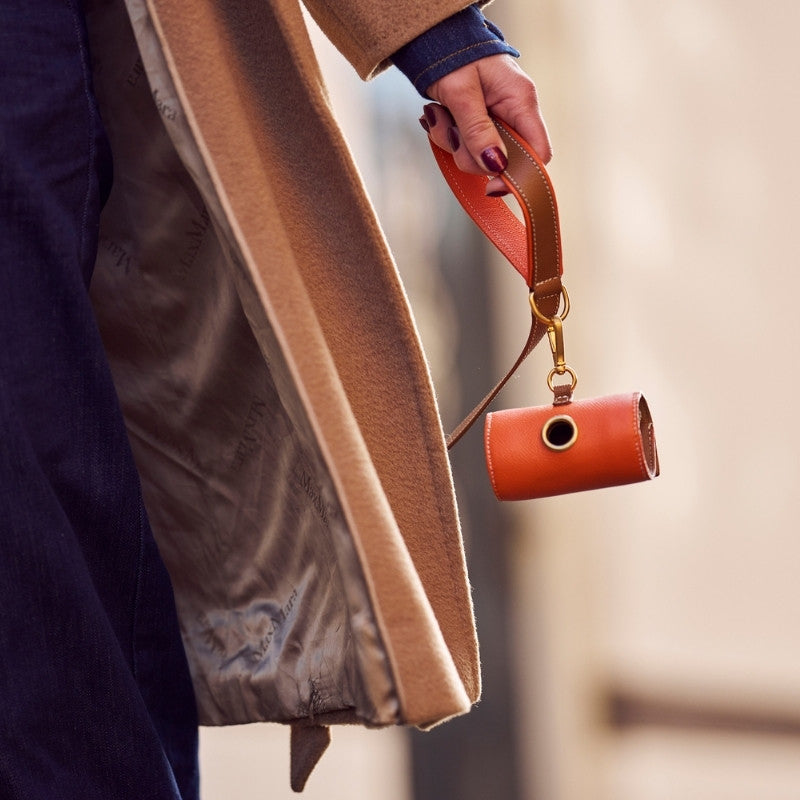 Distributeur de Sacs à Déjection pour Chien Orange Promenade