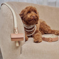 Distributeur de Sacs à Déjection pour Chien Rose Design