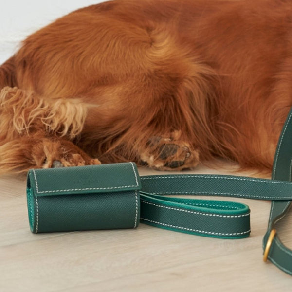 VICHY - Distributeur de sacs à déjection pour chien