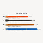 Guide des Tailles Colliers pour Chien