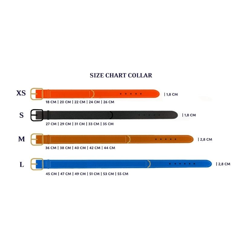 Guide des Tailles Colliers pour Chien