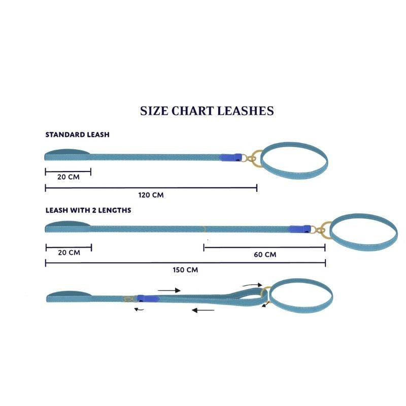 Guide des Tailles Laisses pour Chien