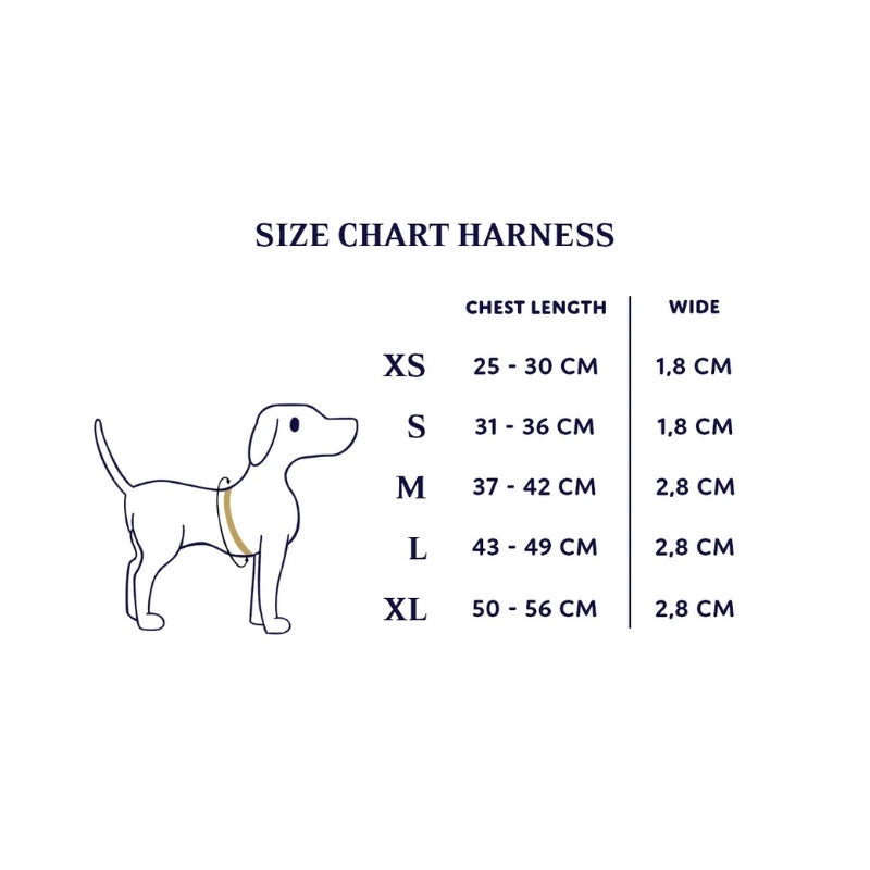 Harnais Guide des Tailles
