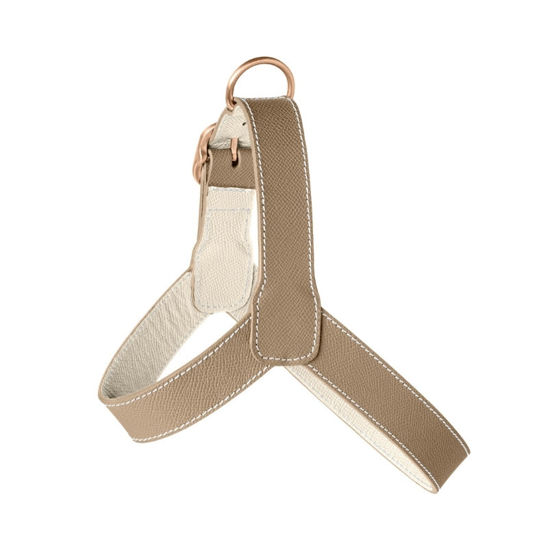 Harnais pour Chien Beige Face