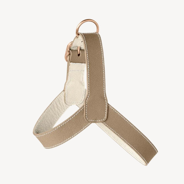 CHAMONIX - Harnais pour chien beige