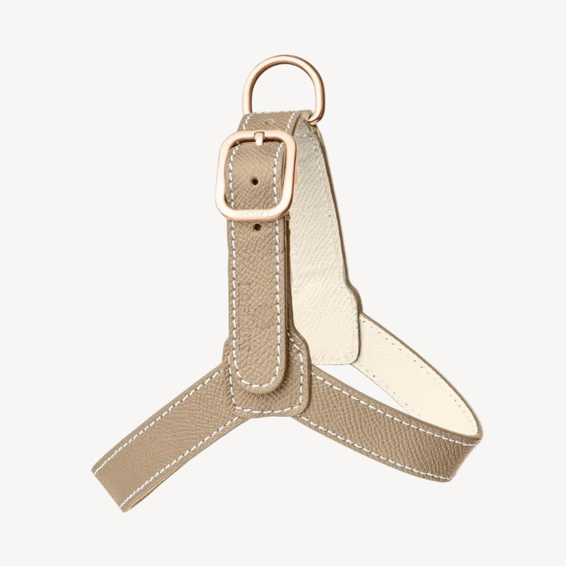 Harnais pour Chien Beige Petite Taille