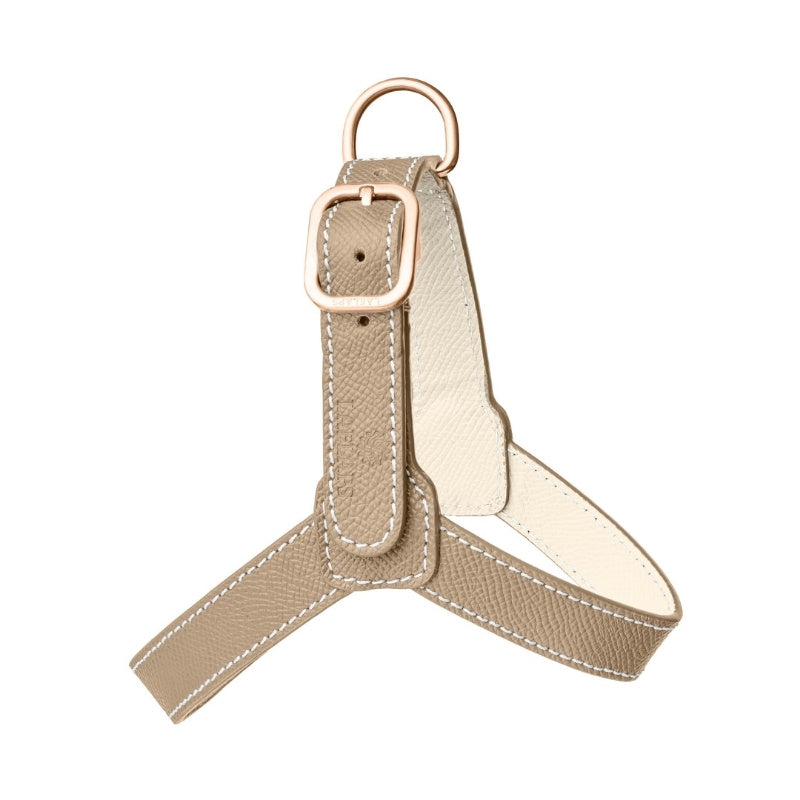 Harnais pour Chien Beige Petite Taille