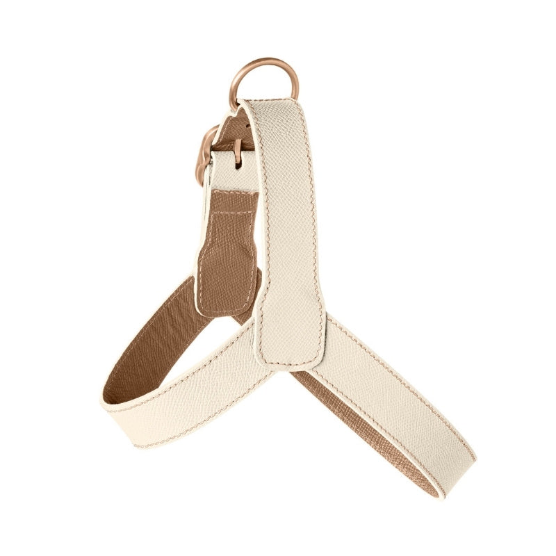 Harnais pour Chien Blanc Côté