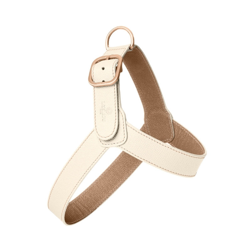 Harnais pour Chien Blanc