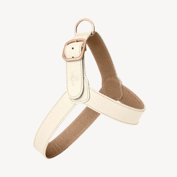 CHAMONIX - Harnais pour chien blanc