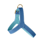 Harnais pour Chien Bleu Côté