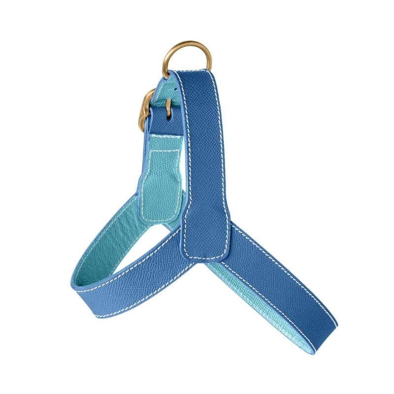 Harnais pour Chien Bleu Côté