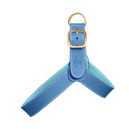Harnais pour Chien Bleu Face
