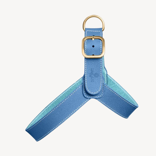 CHAMONIX - Harnais pour chien bleu