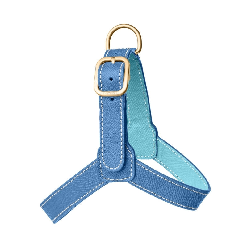 Harnais pour Chien Bleu Petite Taille