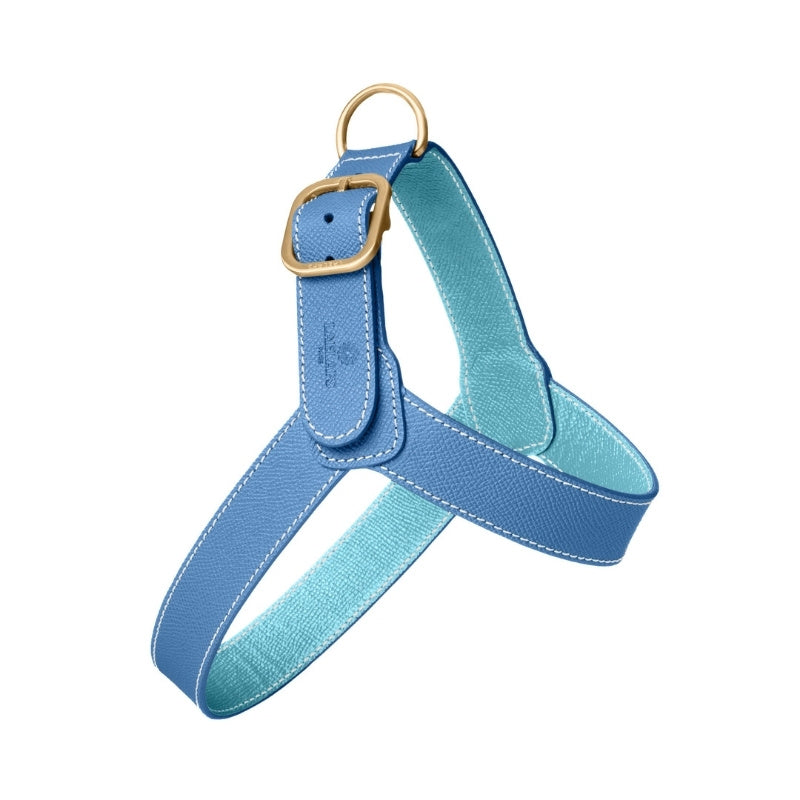 Harnais pour Chien Bleu