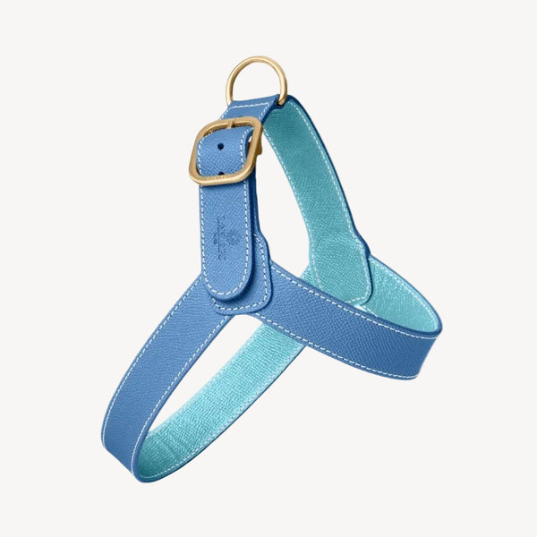CHAMONIX - Harnais pour chien bleu
