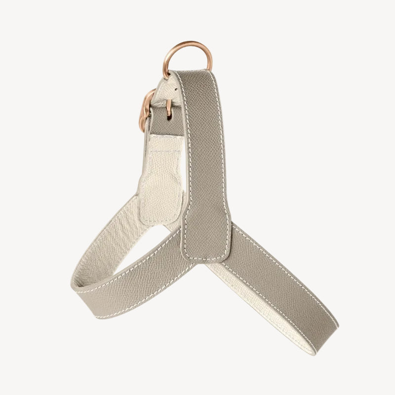 Harnais pour Chien Gris Clair Côté