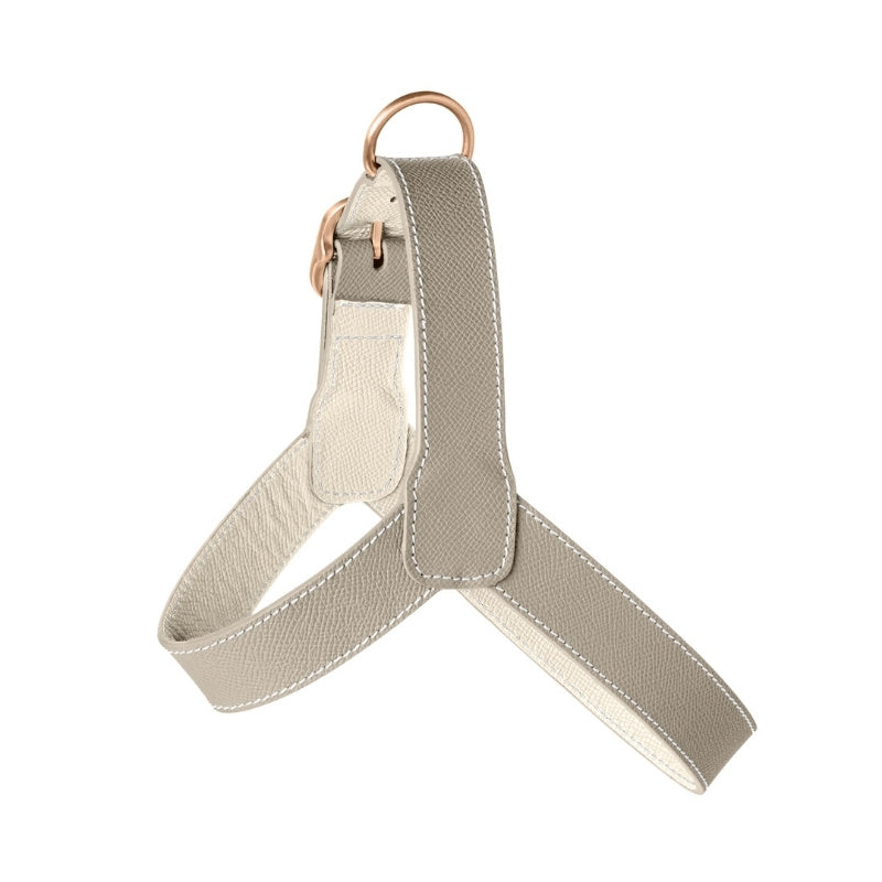 Harnais pour Chien Gris Clair Côté