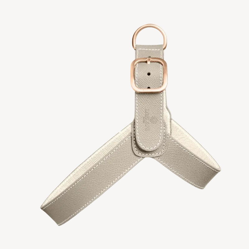 Harnais pour Chien Gris Clair Face