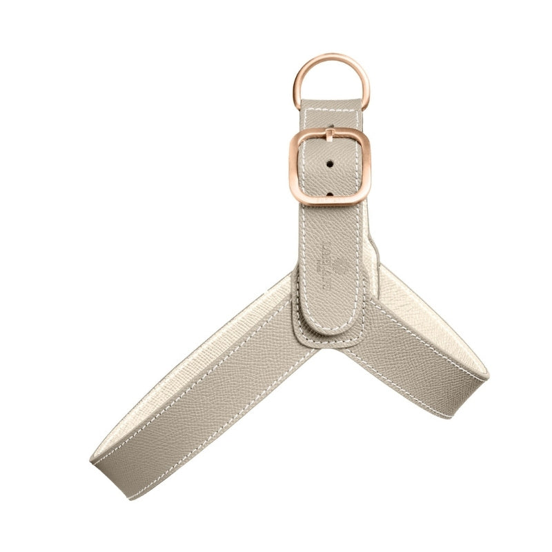 Harnais pour Chien Gris Clair Face