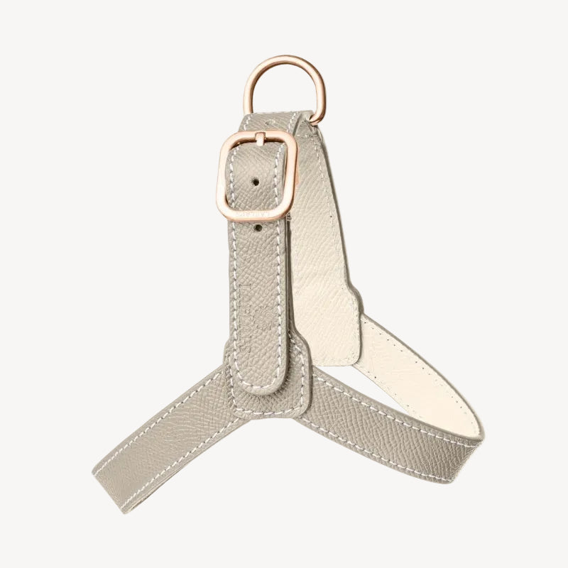 Harnais pour Chien Gris Clair Petite Taille