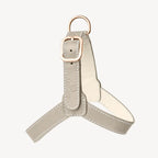 Harnais pour Chien Gris Clair Petite Taille