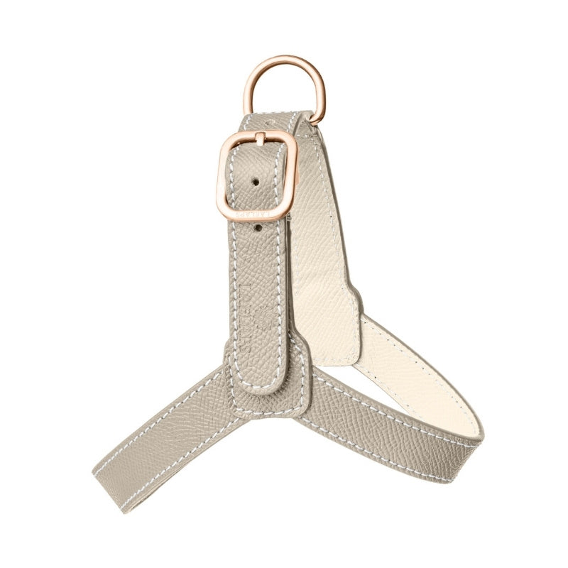 Harnais pour Chien Gris Clair Petite Taille