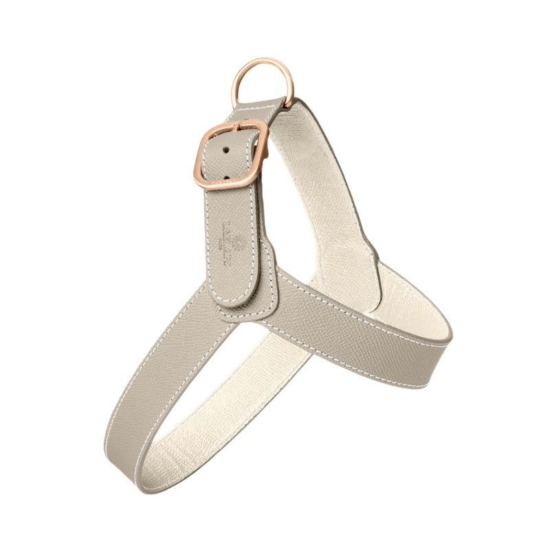 Harnais pour Chien Gris Clair