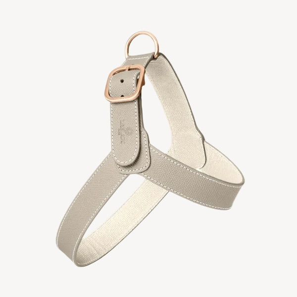 CHAMONIX - Harnais pour chien gris clair