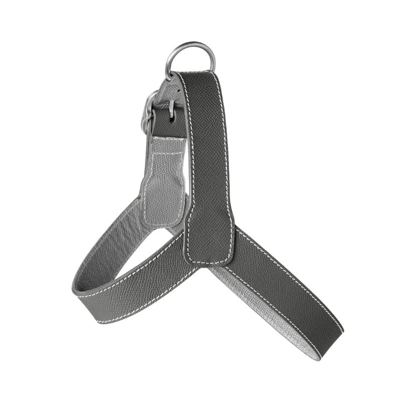 Harnais pour Chien Gris Côté