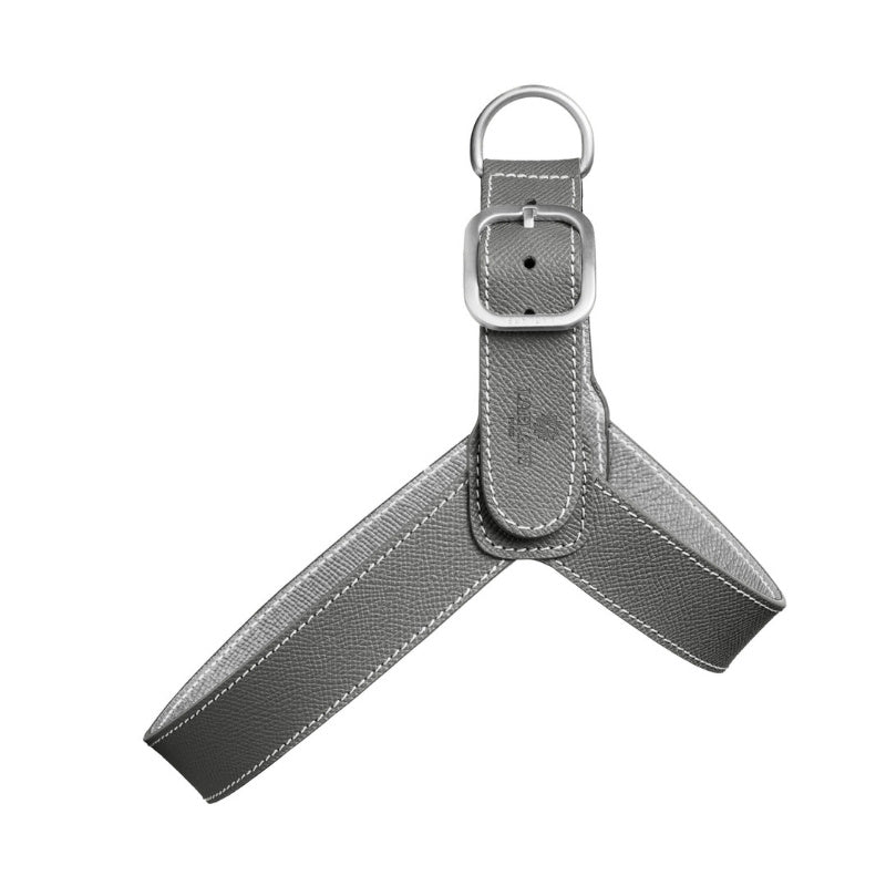Harnais pour Chien Gris Face