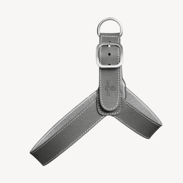 CHAMONIX - Harnais pour chien gris