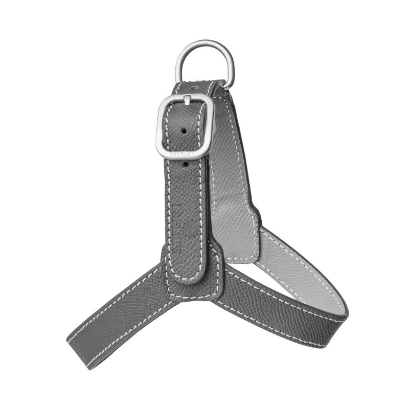 Harnais pour Chien Gris Petite Taille