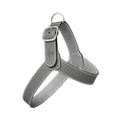 Harnais pour Chien Gris