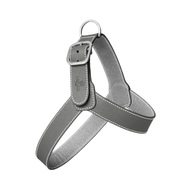 Harnais pour Chien Gris