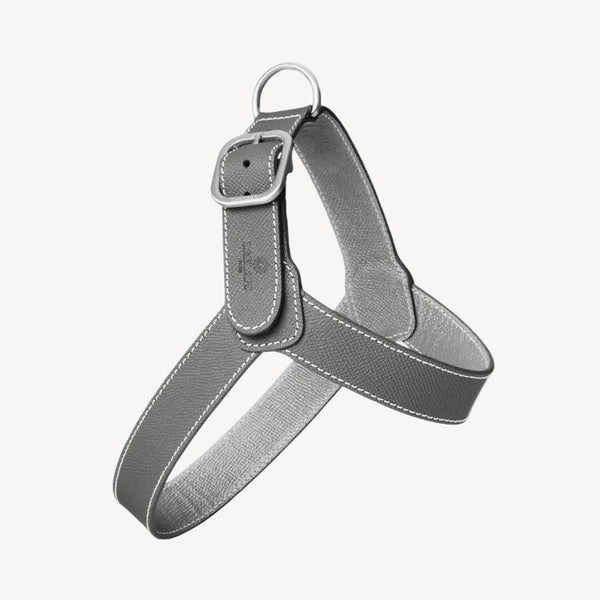 CHAMONIX - Harnais pour chien gris